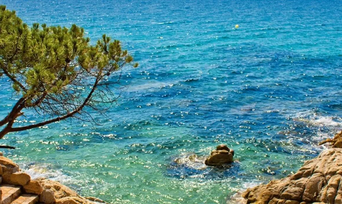 Malgrat de Mar gallery image 1