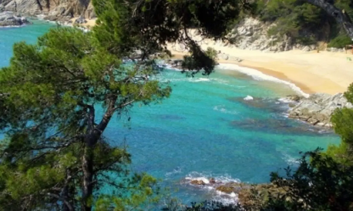 Malgrat de Mar gallery image 6