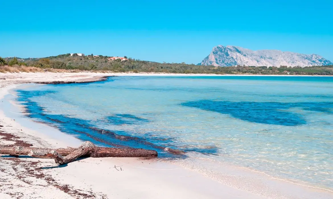 Olbia Costa Smeralda gallery image 9