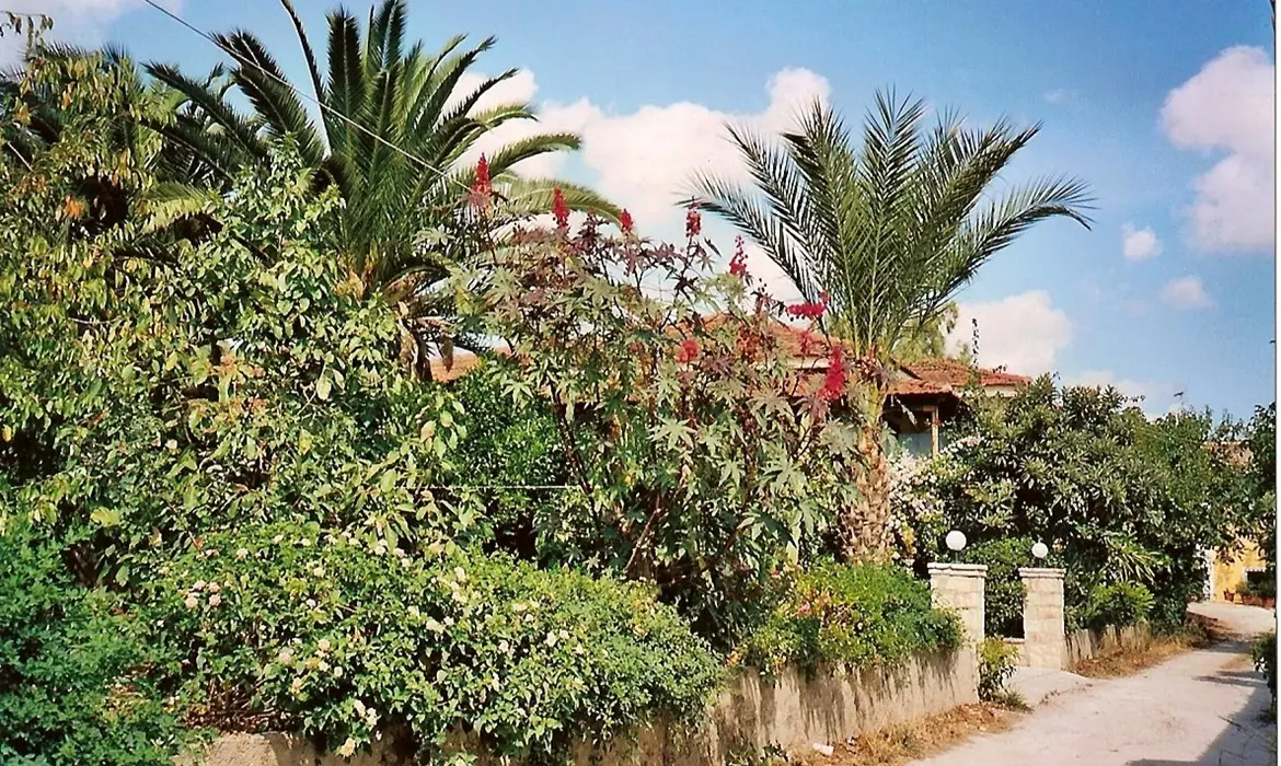 Limni Keriou gallery image 16