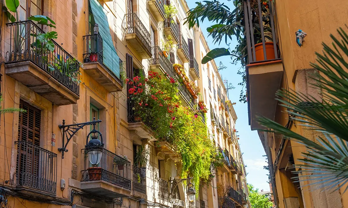 Las Rambles gallery image 10