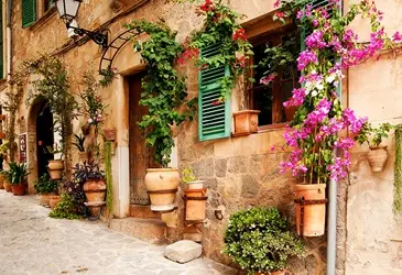 Palma City