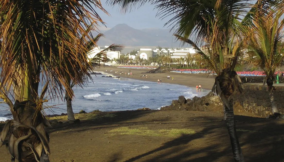 Puerto del Carmen gallery image 12