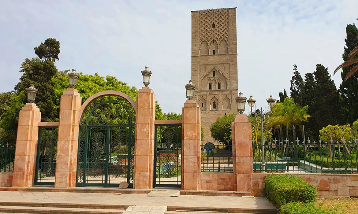 Hassan gallery image 1