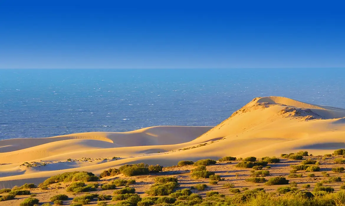 Agadir gallery image 10