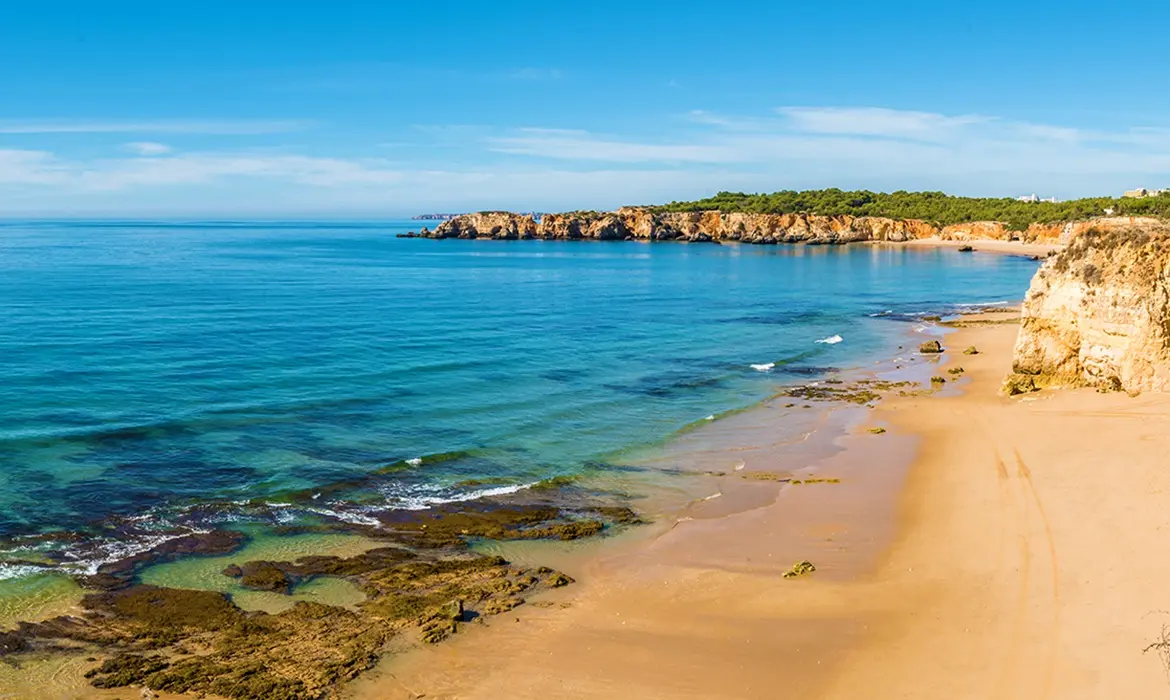 Praia da Rocha gallery image 5