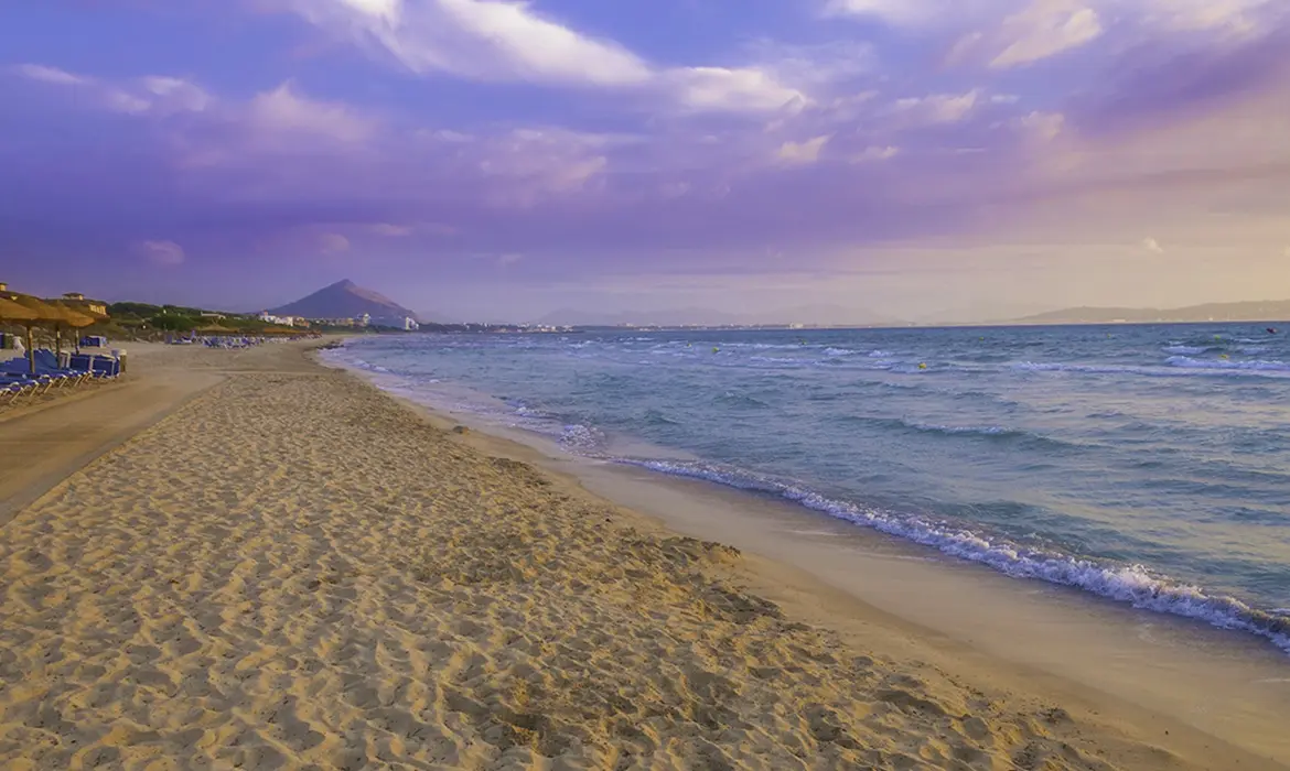 Alcudia gallery image 1