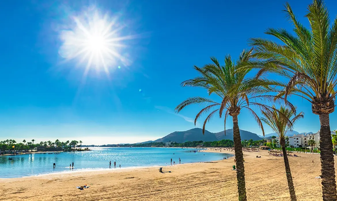 Alcudia gallery image 15