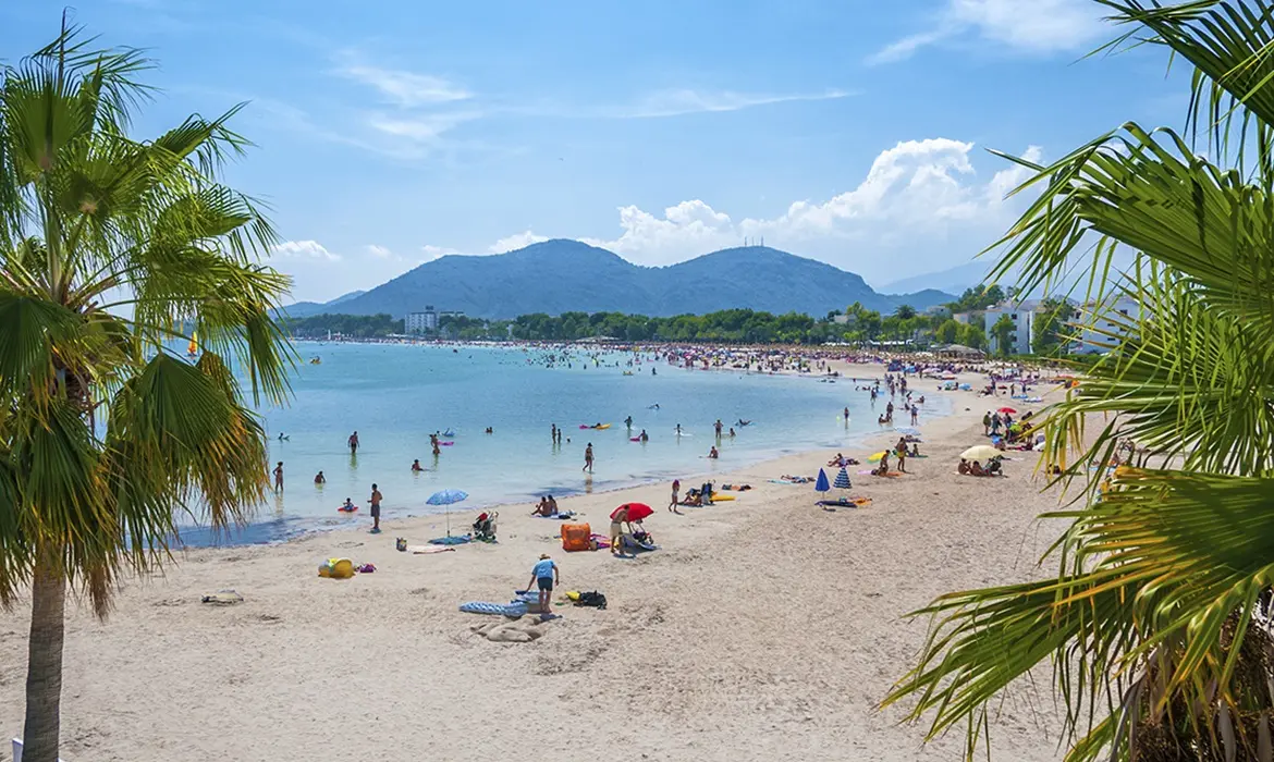 Alcudia gallery image 3