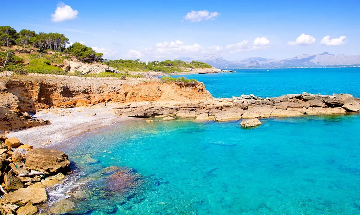 Alcudia gallery image 9