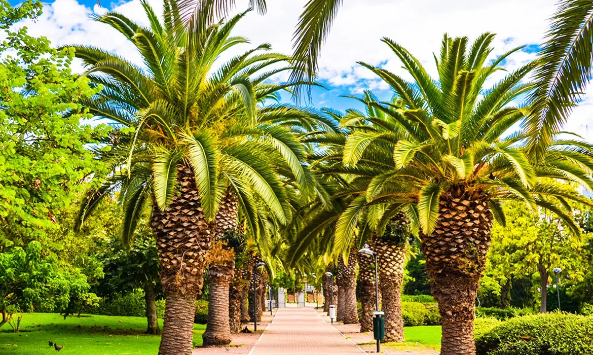 Benalmadena gallery image 18