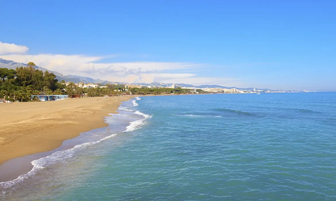 Marbella gallery image 7