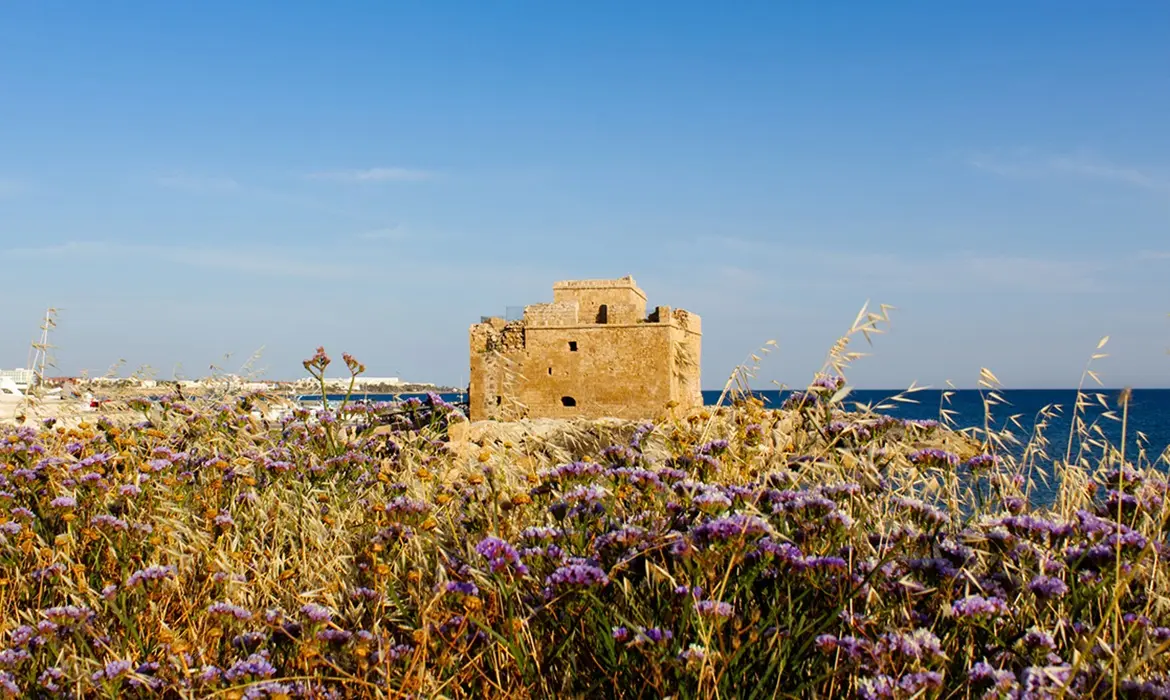 Paphos gallery image 11