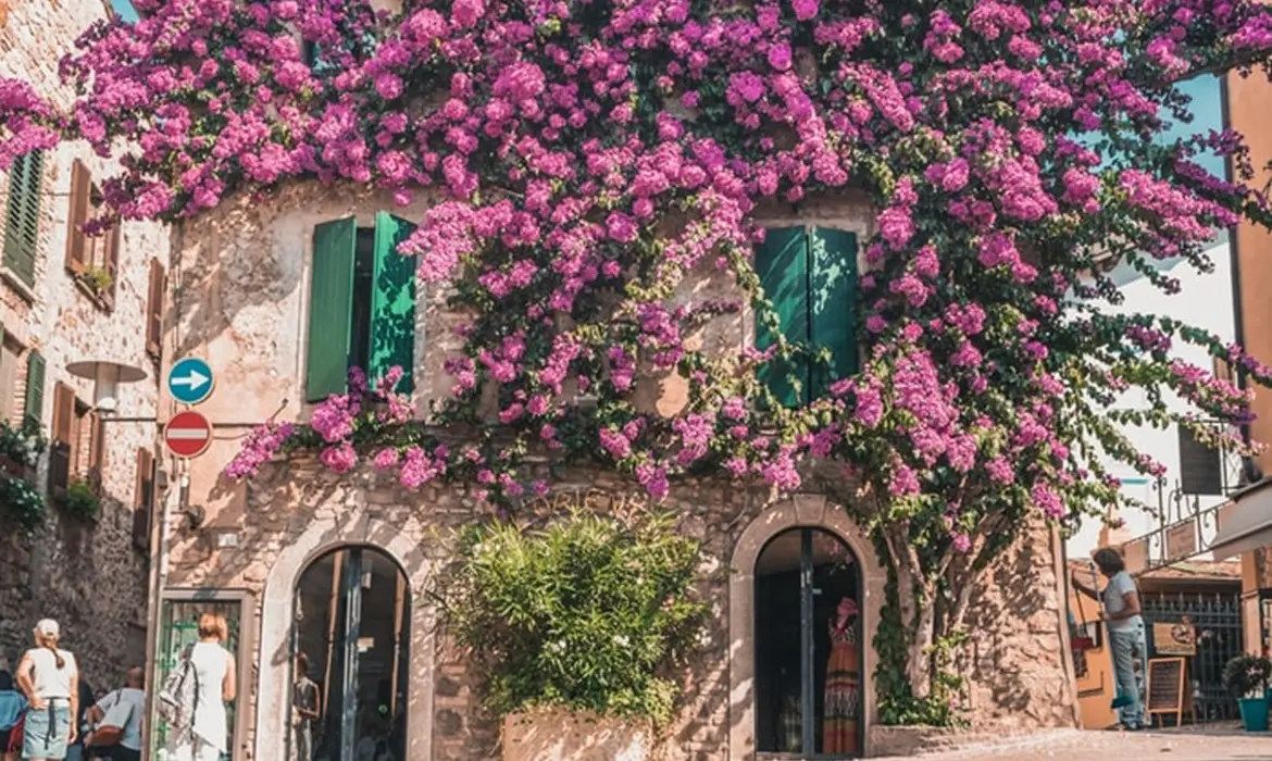 Sirmione gallery image 4