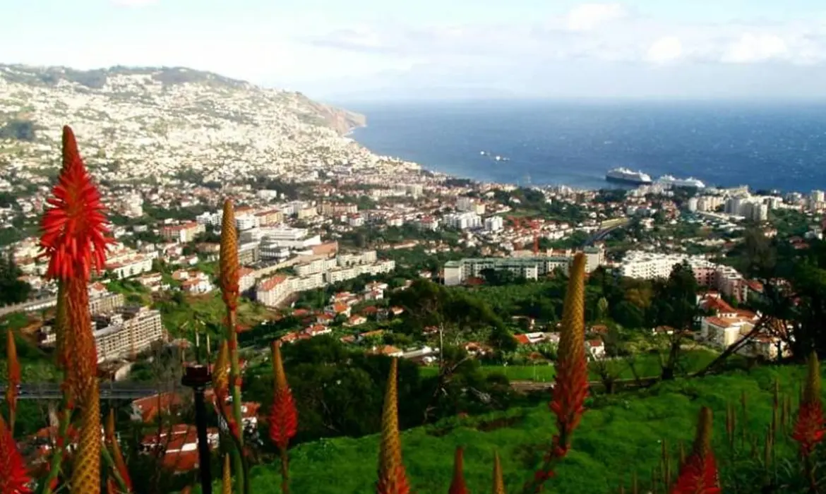 Funchal gallery image 11