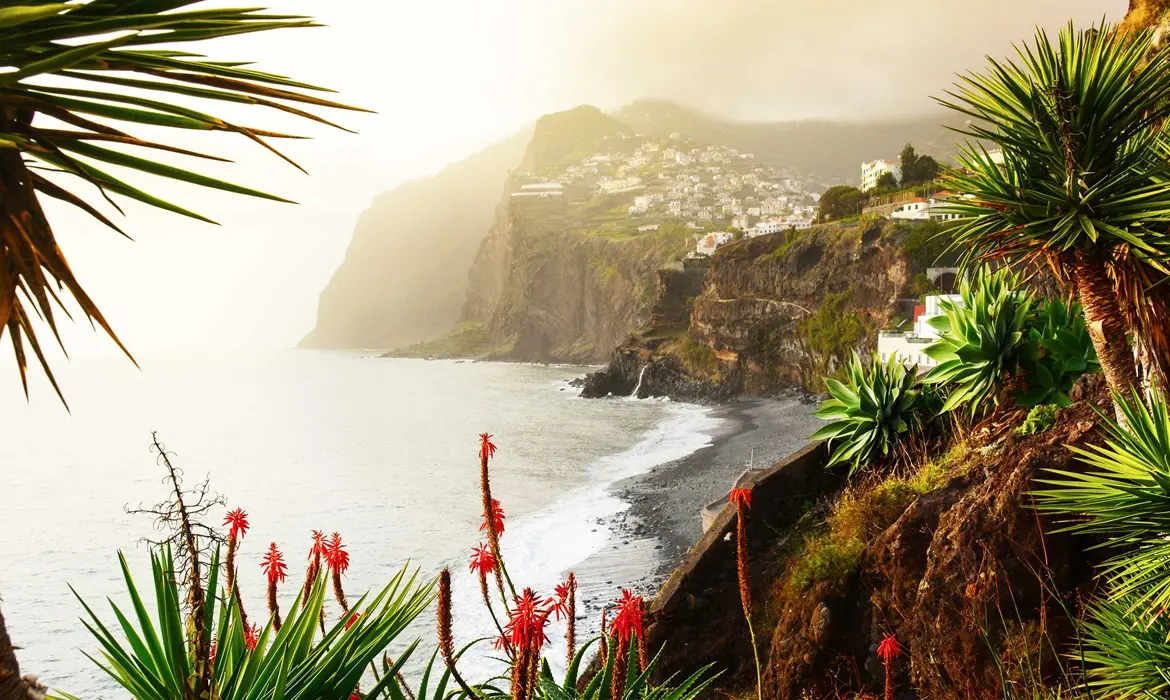 Funchal gallery image 5