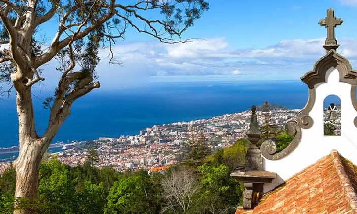 Funchal gallery image 7