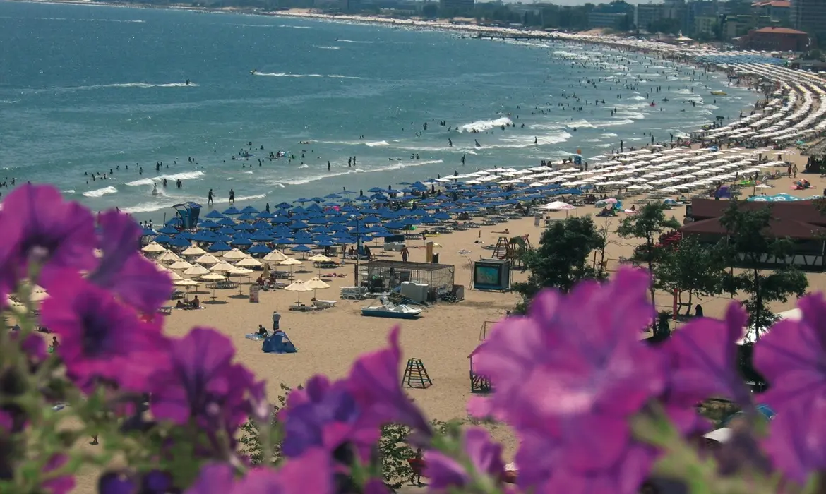 Sunny Beach gallery image 1