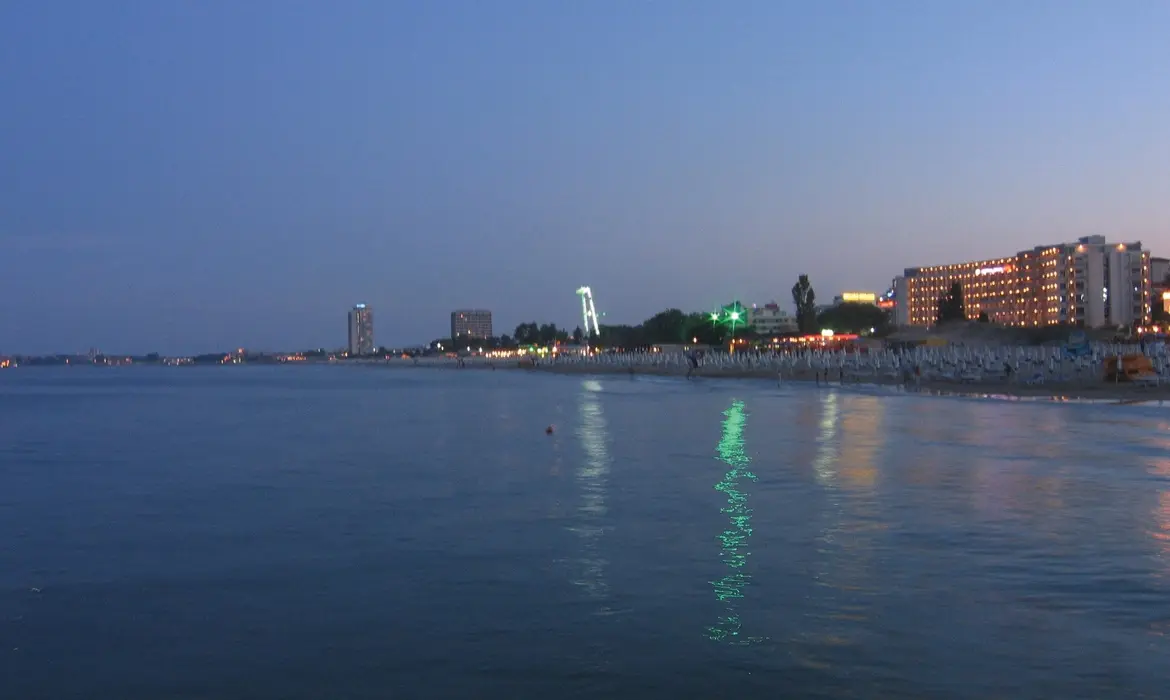 Sunny Beach gallery image 9